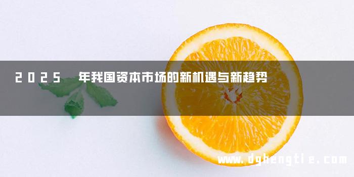 2025 年我国资本市场的新机遇与新趋势